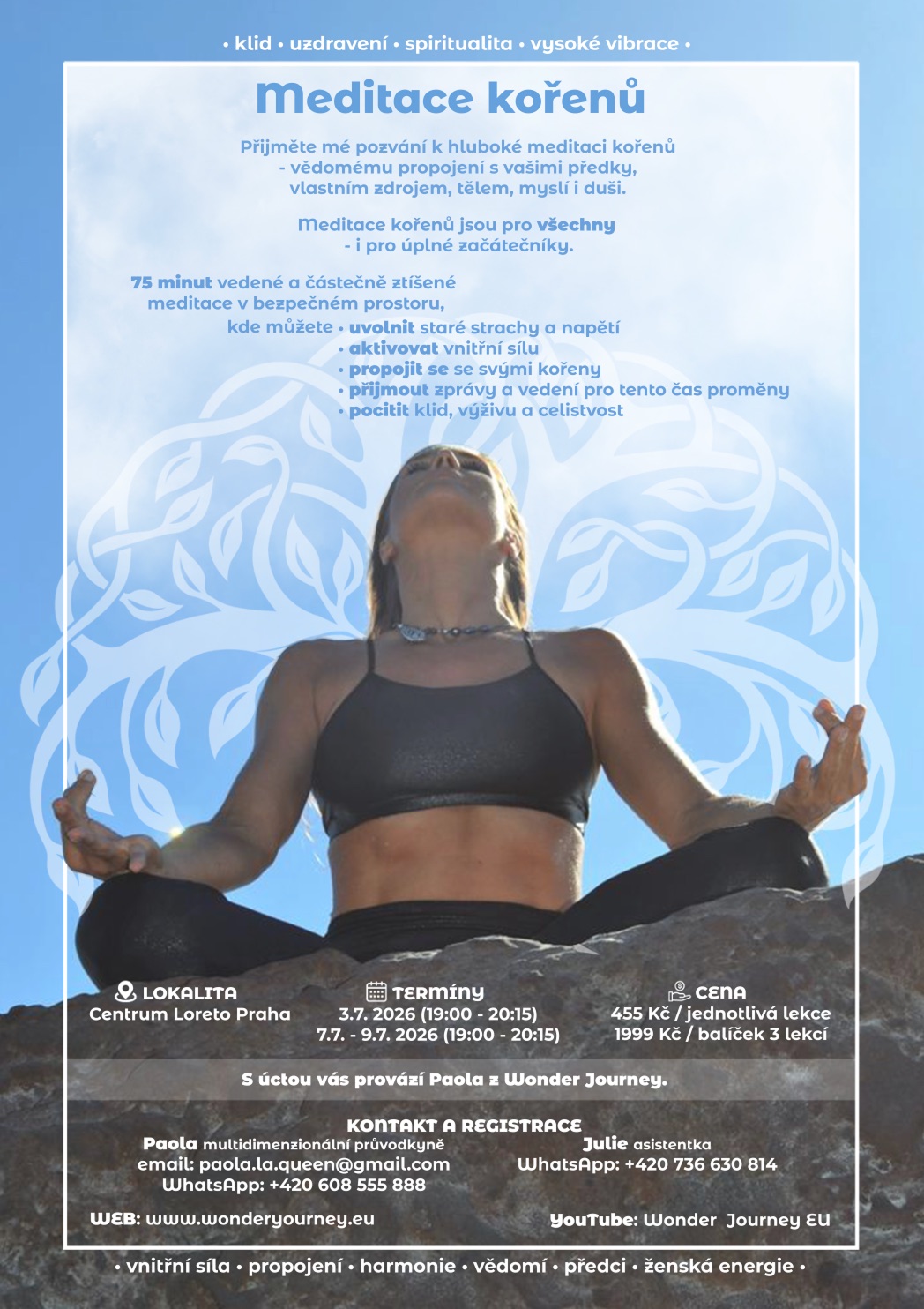 Plakát události Meditace kořenů